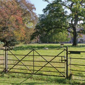 Grazing Management: Keys to a Well-Fed Flock Image
